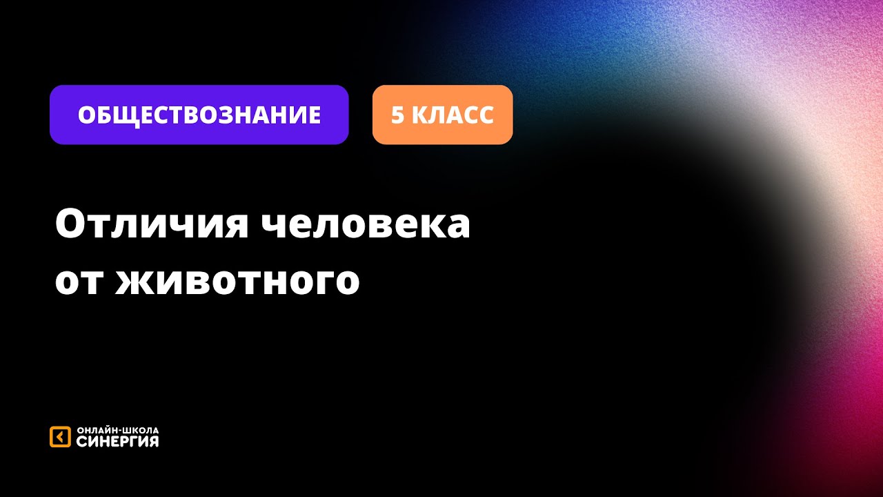 Чем отличается человек от животного 5 отличий. Чем отличается человек от животного 5 отличий