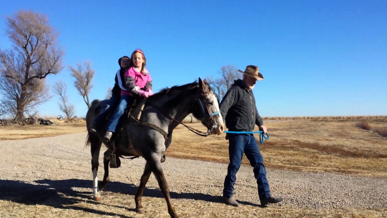 Hannah riding the horse YouTube