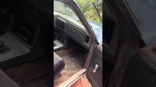 Devido as chuvas não foi possível dar um passeio com o opala #carro #caravan #opala #chevy