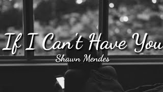 Shawn Mendes - If I Can&#39;t Have You (LYRICS)