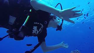 4K Diving Scuba Sharm El Sheikh (Part 8) - "Yalla" Team 2019 (Video by Sergei S.) HD 60fps 5.9.2019