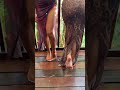 Indian Girls are the hottest in South Asia