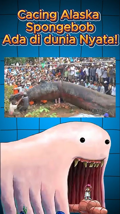 Cacing Alaska di SpongeBob Ternyata Ada Beneran?! Dunia Nyata Lebih Ngeri! #spongebob #cacingalaska