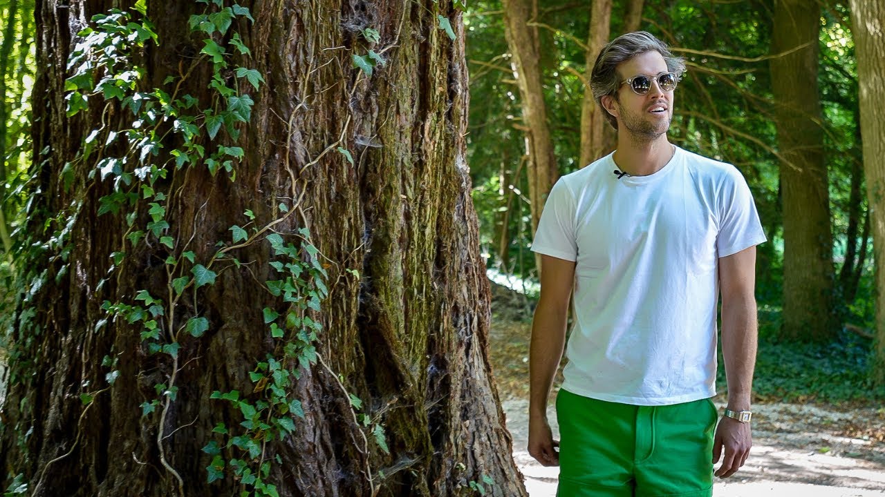 Сады и парк замка: экскурсия + объяснение планов реставрации и дизайна