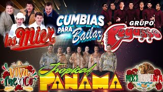 Cumbia Mexicanas Mix 🔥 Cumbia Para Bailar 🔥 Los Mier, Grupo Pegasso, Tropical Panama