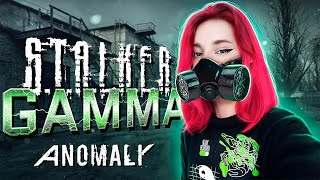 STALKER ANOMALY GAMMA + интерактив