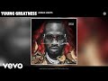 Young greatness  jungle lights audio