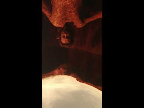 AWOLNATION - The