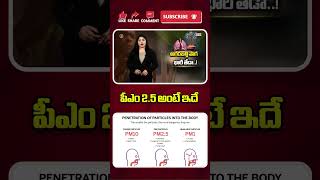 పీఎం 2.5 అంటే ఇదే | This Is What PM 2.5 Means | @BRKLegal