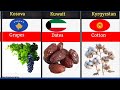 World Profitable Crops:Countries by Cash crops a- z