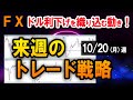 【FX】新首相指名選挙、米CPIに注目!/スキャルの実戦解説【10/20週】