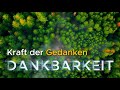Wenn du deine Gedanken änderst, änderst du dein Leben | Die Kraft bewusster Gedanken