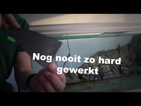 Video: Een volledig glazen aquarium repareren en opruimen en de siliconen vervangen