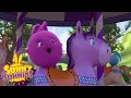 Cartoons for Children | SUNNY BUNNIES - Choo Choo Boo | New Episode | Season 4 | Cartoon
