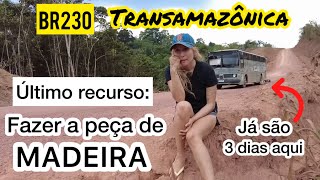 Thumbnail for 3 dias dormindo na pior parte da BR230 a transamazônica - motorhome quebrado e não tem socorro aqui
