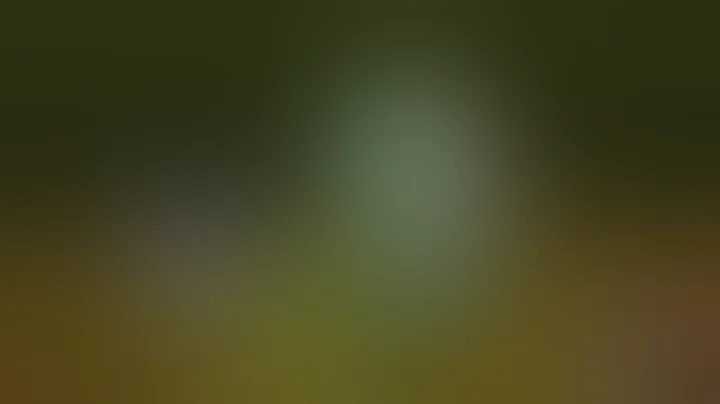 P3Reload: Solo Only Orpheus. 100% Completion [Merciless Difficulty] Gatekeeper Battle 24