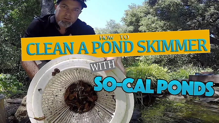 How To Clean a Pond Skimmer