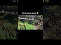 Volando DJI neo