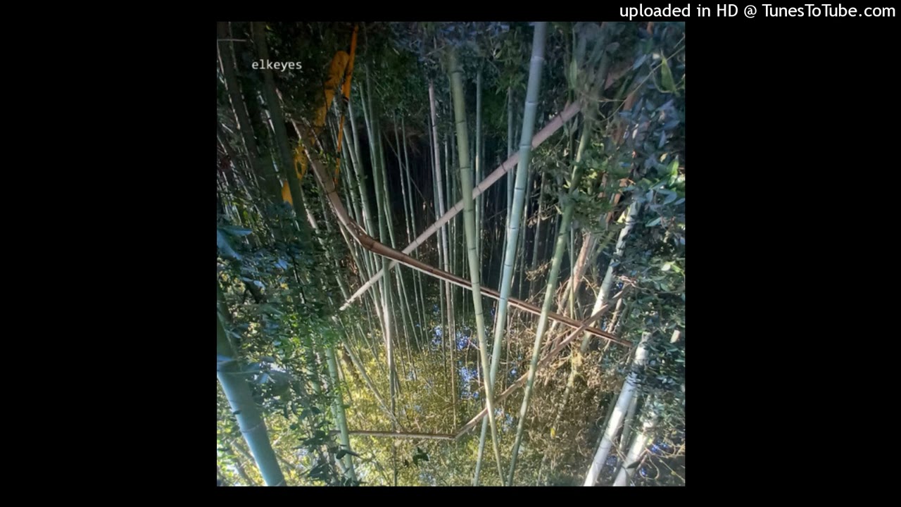 Elkeyes - Trial