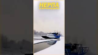 Аэролодки "НЕРПА" Не сдуваются, не рвутся, без баллонов и чешуи. Не дай себя надуть.