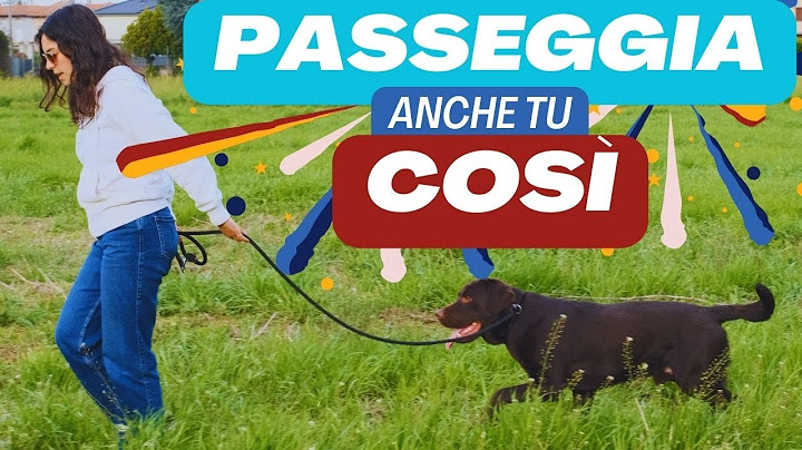 come fermare il tirare al guinzaglio, soluzione veloce