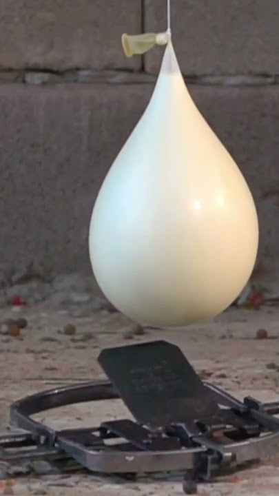 How Strong Are Non-Newtonian Fluids? #shorts