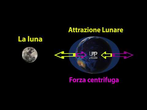 La luna e le maree spiegazione semplice