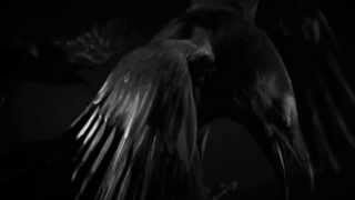 Bathory - &quot;The Ravens&quot;