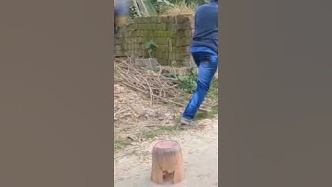 Slow-Mo Explosion of Firecracker Elegance