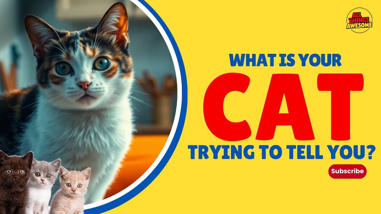 What's Your Cat SECRETLY Telling You Right Now?