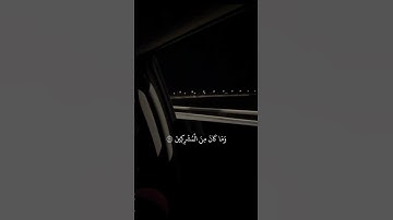 تلاوة مباركة للقارئ أسامه نور