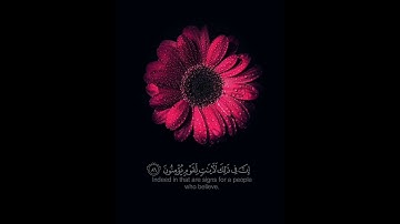 القران الكريم | سورة ألنمل | القارئ إسلام صبحي | تلاوة خاشعة جميلة جدا 😌❤️ | حالات واتس اب