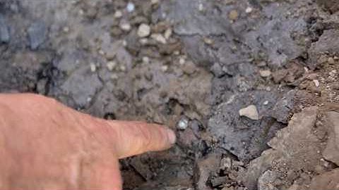 Digging Crystals! Herkimer Diamond Quartz coming out of the ground in Upstate NY. Treasure Hunting