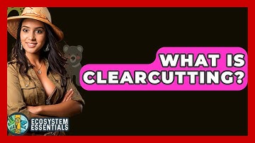What Is Clearcutting? - Ecosystem Essentials