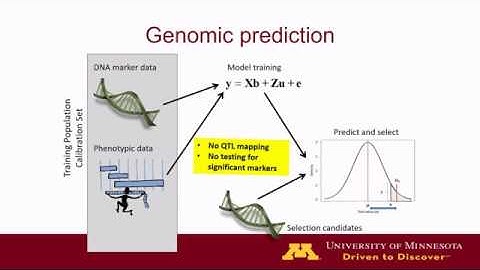 Genomics-Assisted Breeding Overview - Aaron Lorenz
