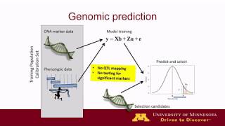 Genomics-Assisted Breeding Overview - Aaron Lorenz screenshot 1