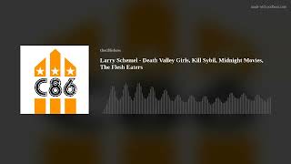 Larry Schemel - Death Valley Girls, Kill Sybil, Midnight Movies, The Flesh Eaters