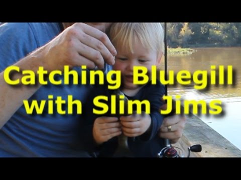 Best bluegill bait - Slim Jims! Catch tons of bream.