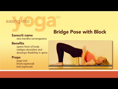 Bird Dog - Yoga 15