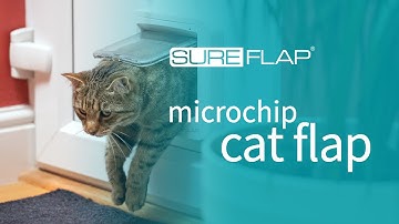 SureFlap Microchip Cat Flap & DualScan - Door Installation