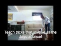 Teacher's Pet Training Academy - Working with Multiple Dogs Teacher's Pet Training Academy - Working with Multiple Dogs