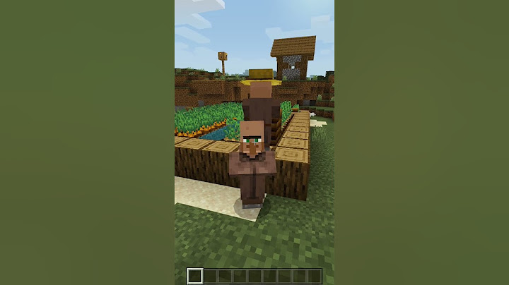 ĐIỀU CỰC KỲ THÚ VỊ VỀ CON DÂN LÀNG TRONG MINECRAFT
