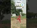 Again parrot 🦜🦜 Hunting and Flying #hunting #youtubeshort #farming