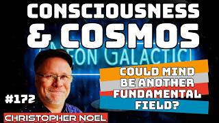 Fundamental field of mind: Christopher Noël on the pervasive cosmic consciousness