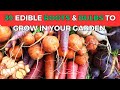 39 edible roots  bulbs to grow in your garden