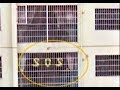 Увидев в окне напротив надпись SOS, парень подумал, что люди нуждаются в срочной помощи