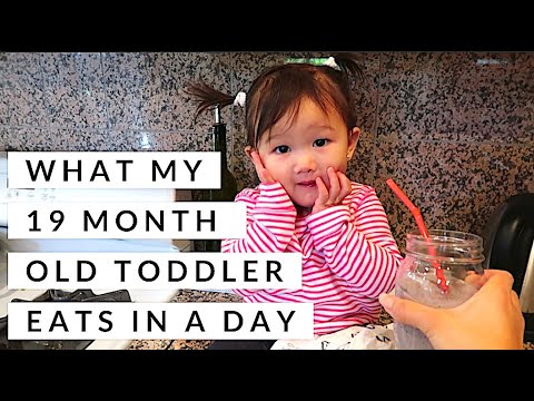 what-my-19-month-old-toddler-eats-in-a-day-|-food-diary