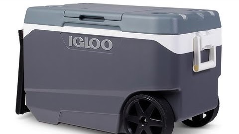 More than a million Igloo rolling coolers recalled after fingertip amputations