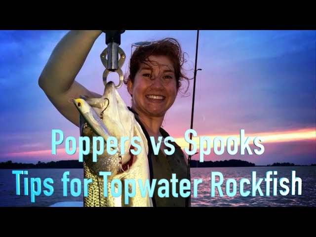 Poppers vs Spooks - Tips For Topwater Rockfish 