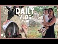 Daily vlog avec nous 6 zoo  elittle emu poussette  my sweet little baby